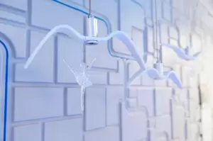 Фотография Юнит-Янг 5